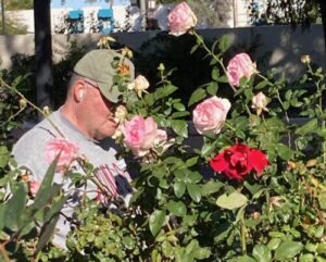 Dean Baker pruning roses in MCC Rose Garden