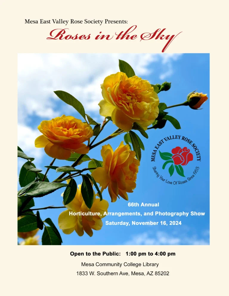 MEVRS Presents 66th Annual Rose Show on November 16.